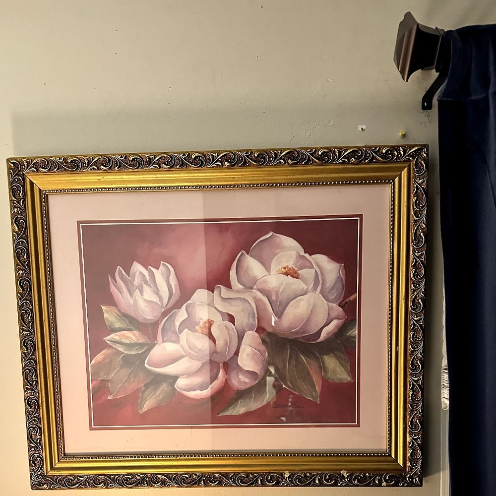 Magnolia flower picture